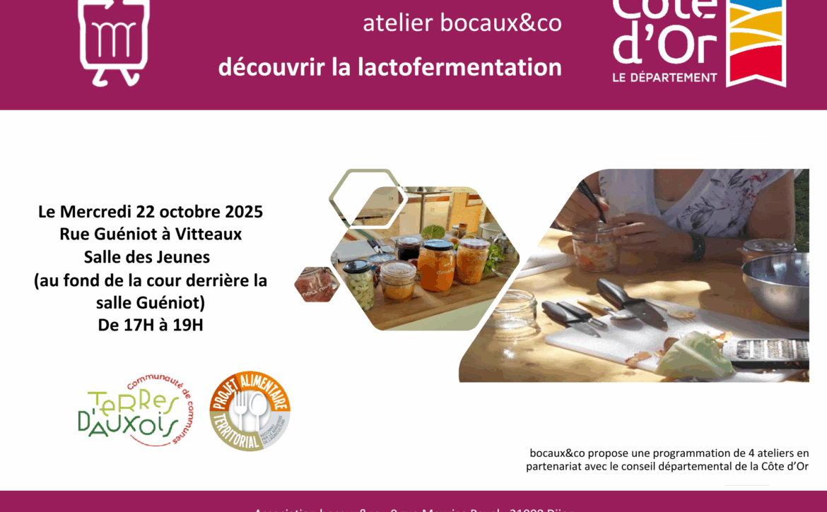 atelier_lactofermentation