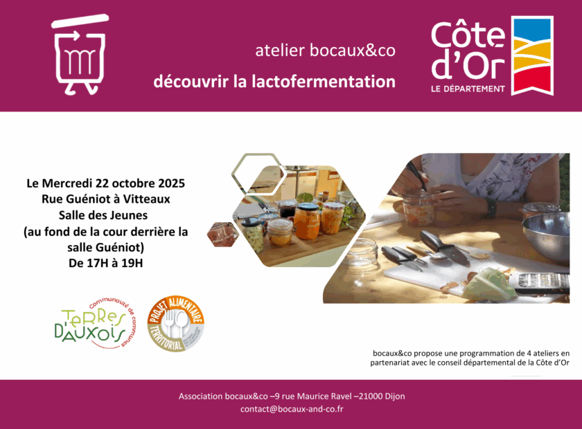 atelier_lactofermentation
