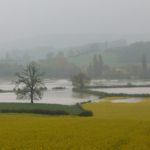 Mise à la consultation du public du dossier de futur Programme d’Actions de Prévention des Inondations (PAPI) Serein-Armançon.